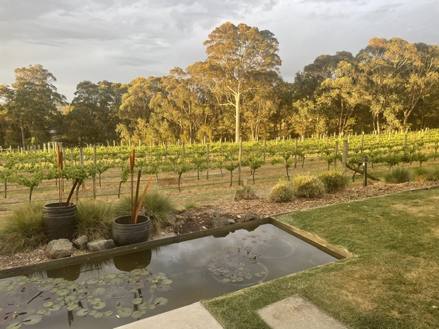 Wine Tasting